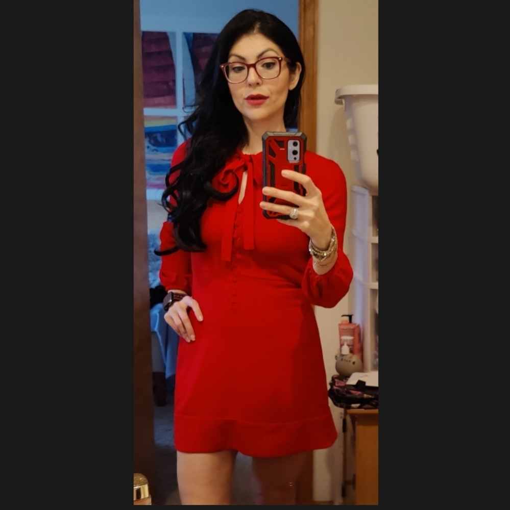 Zara Woman Dress Woman's Size Small Red Long Sleeve Buttoned Tied Bow